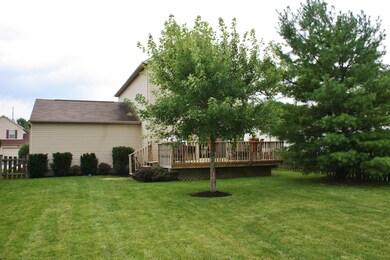 Back of House