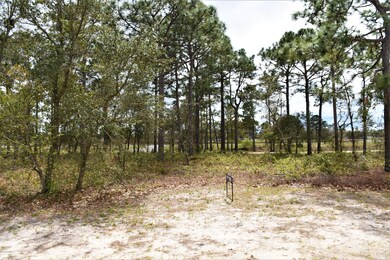 518 Pilots Ridge, Wilmington, NC 28412 - photo 7