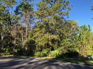 188 Bluebill Trail, Brunswick, GA 31523 - photo 2