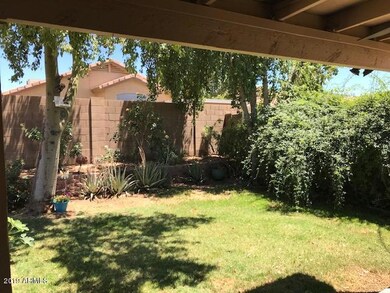 Yard-1