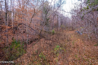 1858 Old Chilhowee Rd, Seymour, TN 37865 - photo 7