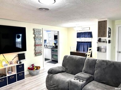 102 Yosemite Ave, Lincoln, IL 62656 - photo 5