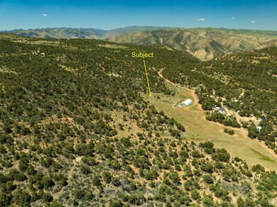 Drone Views of the Property