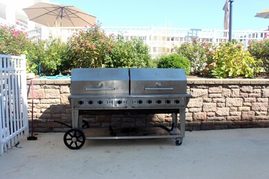 Oc Gas grill IMG_1876
