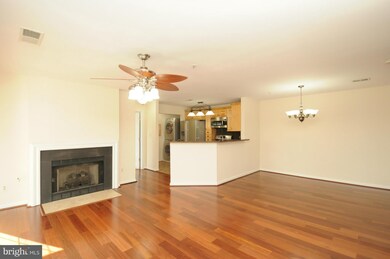 11001 Kinship Ct unit 203, Manassas, VA 20109 - photo 5