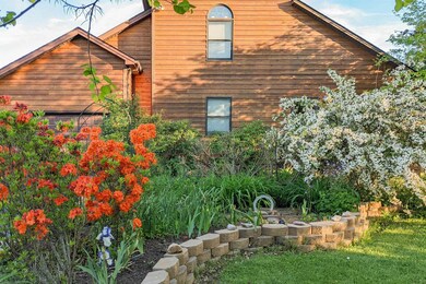 Flame azaleas