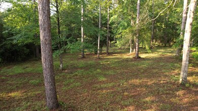 000 Perrott Rd, McComb, MS 39648 - photo 2