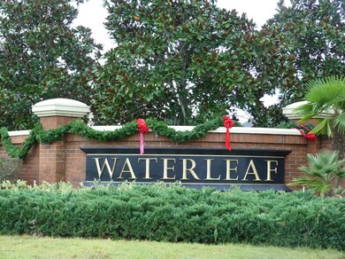 Waterleaf