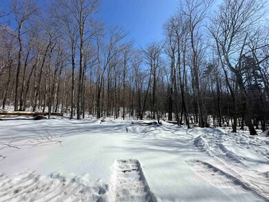 360 Dorman Rd, Andover, VT 05143 - photo 3