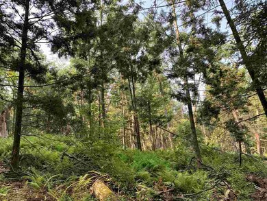 Lot 1 TBD Cherry Hill Rd, Stone Ridge, NY 12484 - photo 3