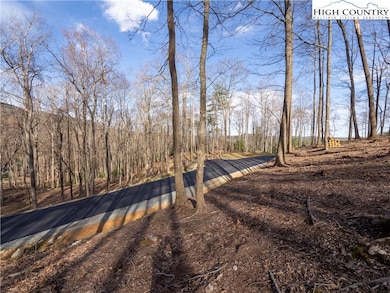 Lot 47 Wildcat Wilderness Pkwy, Deep Gap, NC 28618 - photo 2