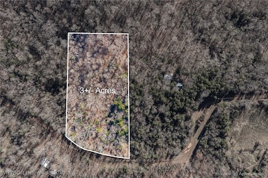 22982 Liberty Trail Rd, Natural Dam, AR 72948 - photo 3