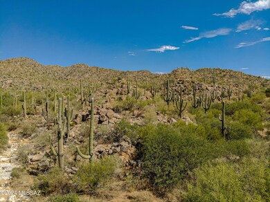 1173 W Tortolita Mountain Cir unit 182, Oro Valley, AZ 85755 - photo 3