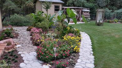 juett house back yard1