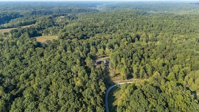 7501 Ivorybill Ln, Franklin, TN 37064 - photo 5