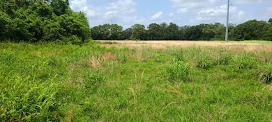 00 Fm 1459, Sweeny, TX 77480 - photo 5