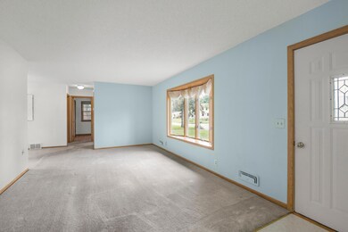 101 104th Ln NE, Minneapolis, MN 55434 - photo 3