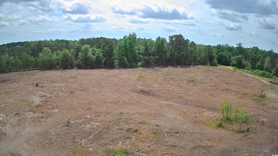 View of wooded area