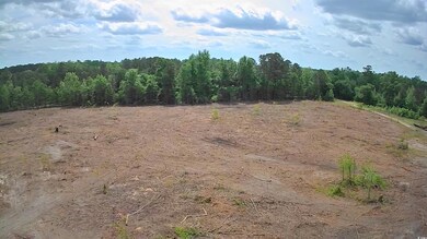 View of wooded area