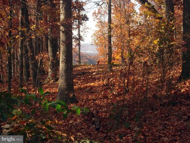 3413 Flint Hill Rd, Adamstown, MD 21710 - photo 6