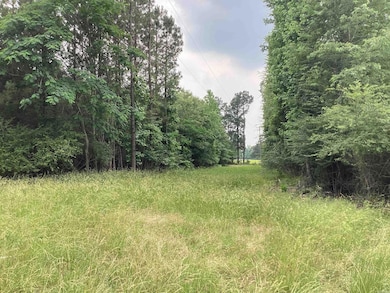 1006 Hempstead 24 Rd, Blevins, AR 71825 - photo 4