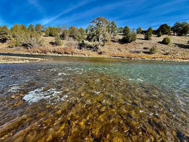 7149/7498 County Road 213, Durango, CO 81303 - photo 3