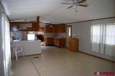 0 NE Fir Ave unit 662052, Cedaredge, CO 81413 - photo 4