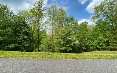 Additional View