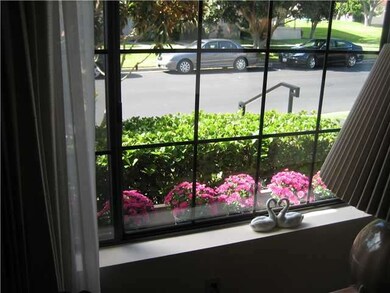 A window filled with flowers.