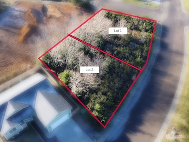 0 Sanderling (Lot 2) Dr, Hoquiam, WA 98550 - photo 5