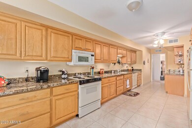 17430 N Appaloosa Dr, Sun City, AZ 85373 - photo 6