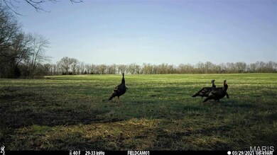 0 Central Grove Rd & Marling Rd N unit MIS25030827, Montgomery, MO 63359 - photo 2