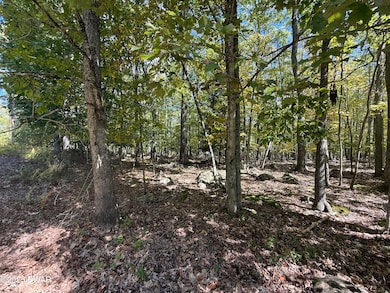 0 Paper Birch Rd N, Tafton, PA 18464 - photo 2