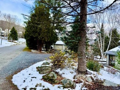 982 Brook Rd unit 4, Stowe, VT 05672 - photo 2