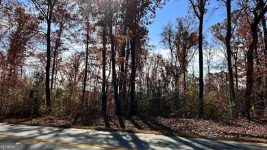 43 ACRES Ivy Springs Dr, Dallas, GA 30132 - photo 2