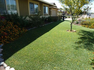 Artificial Turf front and back