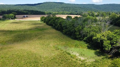 5600 Highway 50, Pelham, TN 37366 - photo 5