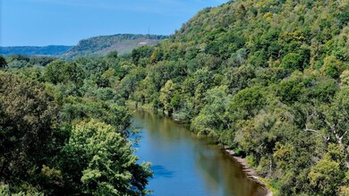 TBD Larman Dr, Money Creek Township, MN - photo 3