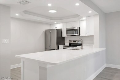 Kitchen with white cabinetry, a tray ceiling, and