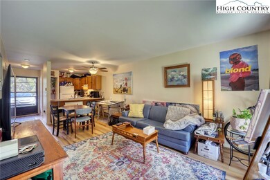 128 Zeb St unit A-106, Boone, NC 28607 - photo 3