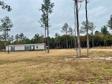 3787 Miller County 10, Fouke, LA 71387 - photo 4