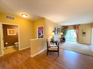 716 Aqua Marine Blvd, Avon Lake, OH 44012 - photo 2