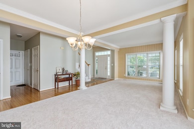 43438 Mink Meadows St, Chantilly, VA 20152 - photo 6