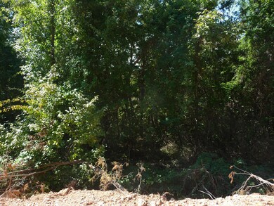 Tbd Kimberling Hills, Kimberling City, MO 65686 - photo 5