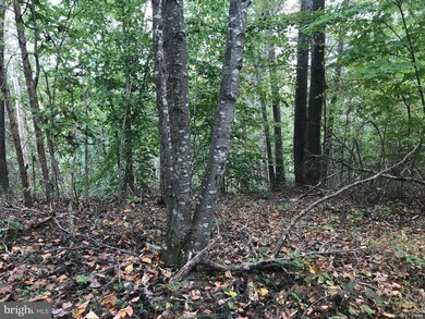 0 Brinkley Sperryville unit VARP2000412, Boston, VA 22713 - photo 7