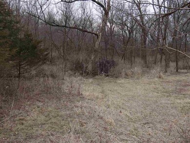149.44+/- Ac Dutch Hollow Rd, Potosi, WI 53820 - photo 3