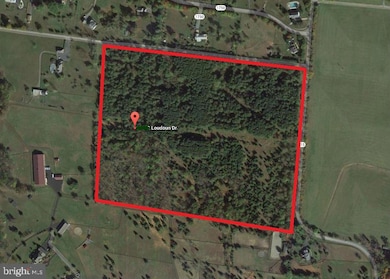 1570 Loudoun Dr, Haymarket, VA 20169 - photo 2