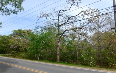 134 Old County Rd, West Tisbury, MA 02575 - photo 4