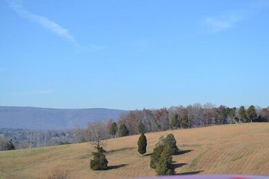 90+/-Acres Old Rhea Springs Rd, Spring City, TN 37381 - photo 7