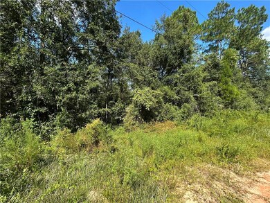 0 Liatrus Ln unit 7644973, Seminole, AL 36574 - photo 5